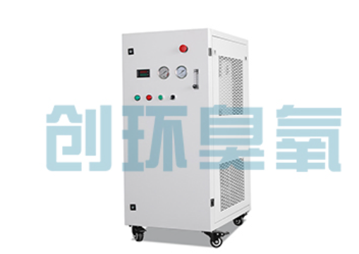行唐石斑鱼养殖水质调控完整指南：臭氧发生器配置与操作步骤