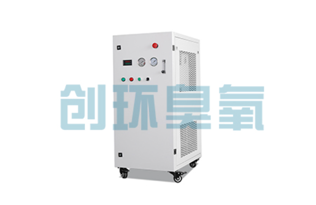 行唐比传统换水更高效？臭氧发生器在石斑鱼养殖中的水质净化原理解析